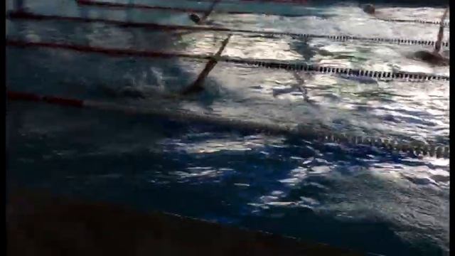 Спортивное плавание в Сочи 2014 смотреть онлайн