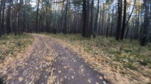 Осенняя покатушка на квадроциклах :CF MOTO 500-2A и STELS GUPARD 650 (№4)