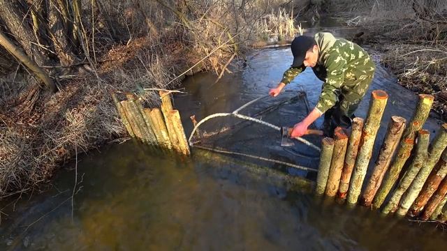 Сделал запруду на ручье.Поставил ловушку таптуху. Супер улов. Нажарил гренок. смотреть онлайн