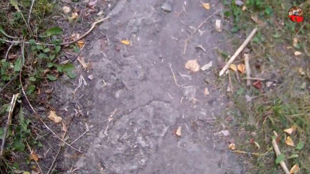 4 36,Каменная дорога в никуда,Нео Фициал смотреть онлайн