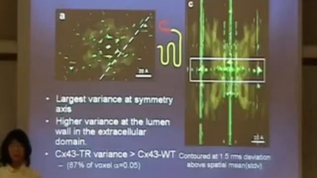 41 Bootstrap Resampling ACheng смотреть онлайн