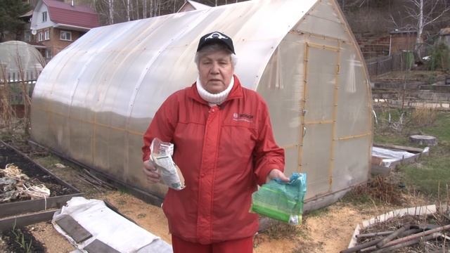 Голова садовая - ВАЖНО! Чеснок после зимы смотреть онлайн