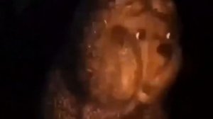 Ежик в тумане бесконечно вечное