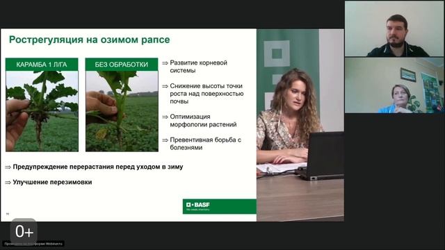 Запись вебинара от 19 июня 2020 г. — Масличный рапс. Возделывание, проблемы и возможности. смотреть онлайн