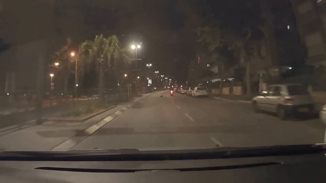 crazy cat! смотреть онлайн