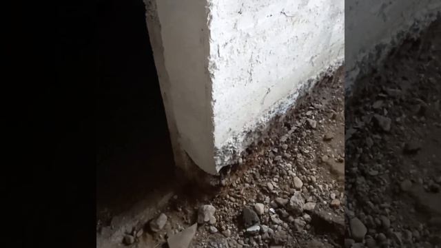 Вызывайте Скорую смотреть онлайн