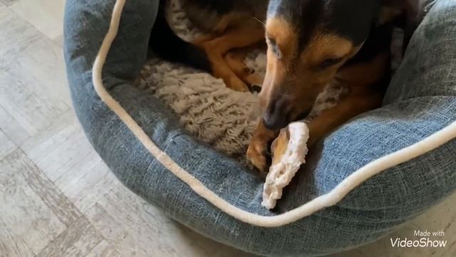 Я должна помогать? Суп из Тыквы ? / Показываю Рассказываю/?/Olga Kirchgessner