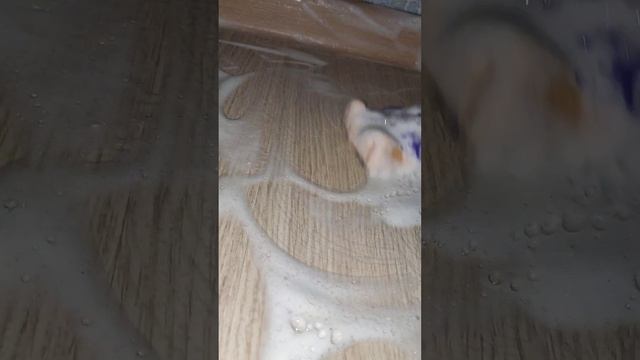 мою подоконник, батарею и пол  Asmr ?cleantok? Cleaning? Amazing? Babl ??