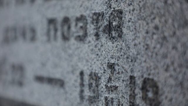 На Новом Донском кладбище похоронена старшая дочь Александра Пушкина смотреть онлайн