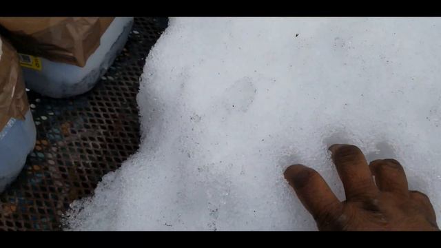 Update on my winter sowing!! смотреть онлайн
