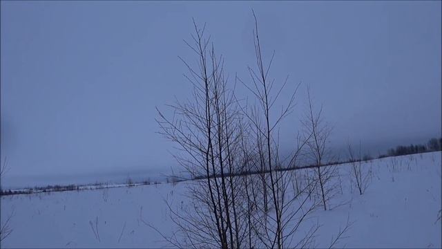 Нагонка 8 -ми месячной выжловки Сделали новый столик Проверили прошлогодние солонцы. 6.01.2021г. смотреть онлайн