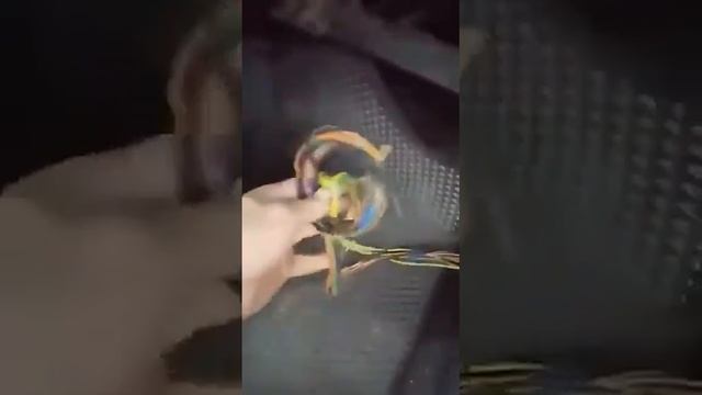 Кулибин и Avensis смотреть онлайн