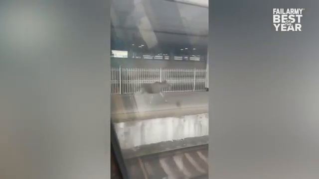 Best Fails of the Year ｜ Try Not To Laugh смотреть онлайн