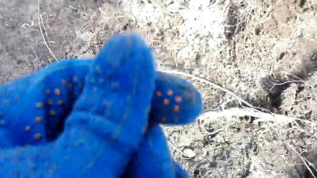 Коп 2017! Поиск монет на огородах! смотреть онлайн
