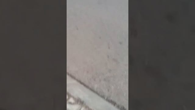 Я катаюсь на трюковом самокате смотреть онлайн