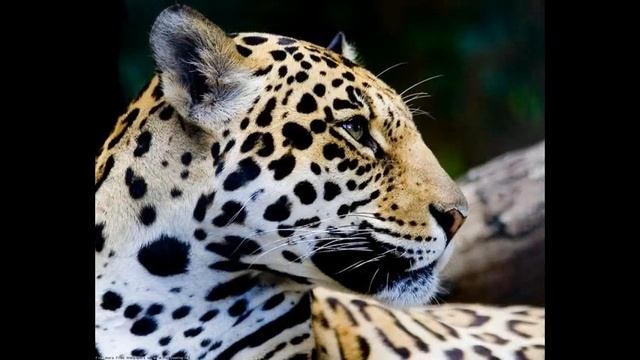 как научиться фотографироваться смотреть онлайн