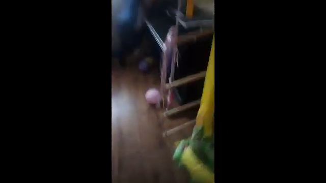 Бежал от собаки ,описалась смотреть онлайн