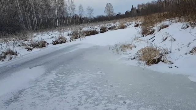 Мотоснегокат смотреть онлайн
