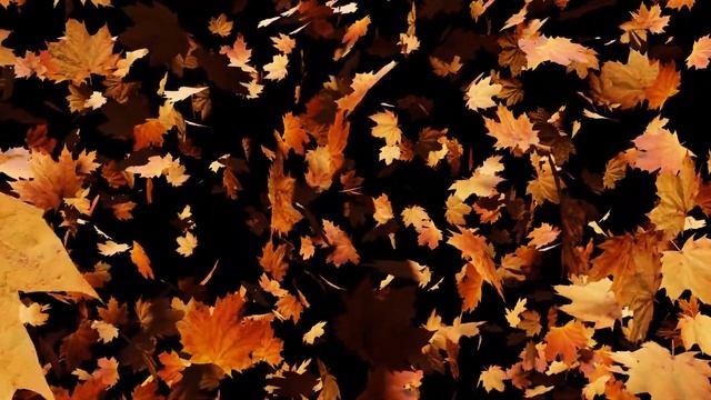 Ольга Збарская: Забытые Стихи. смотреть онлайн