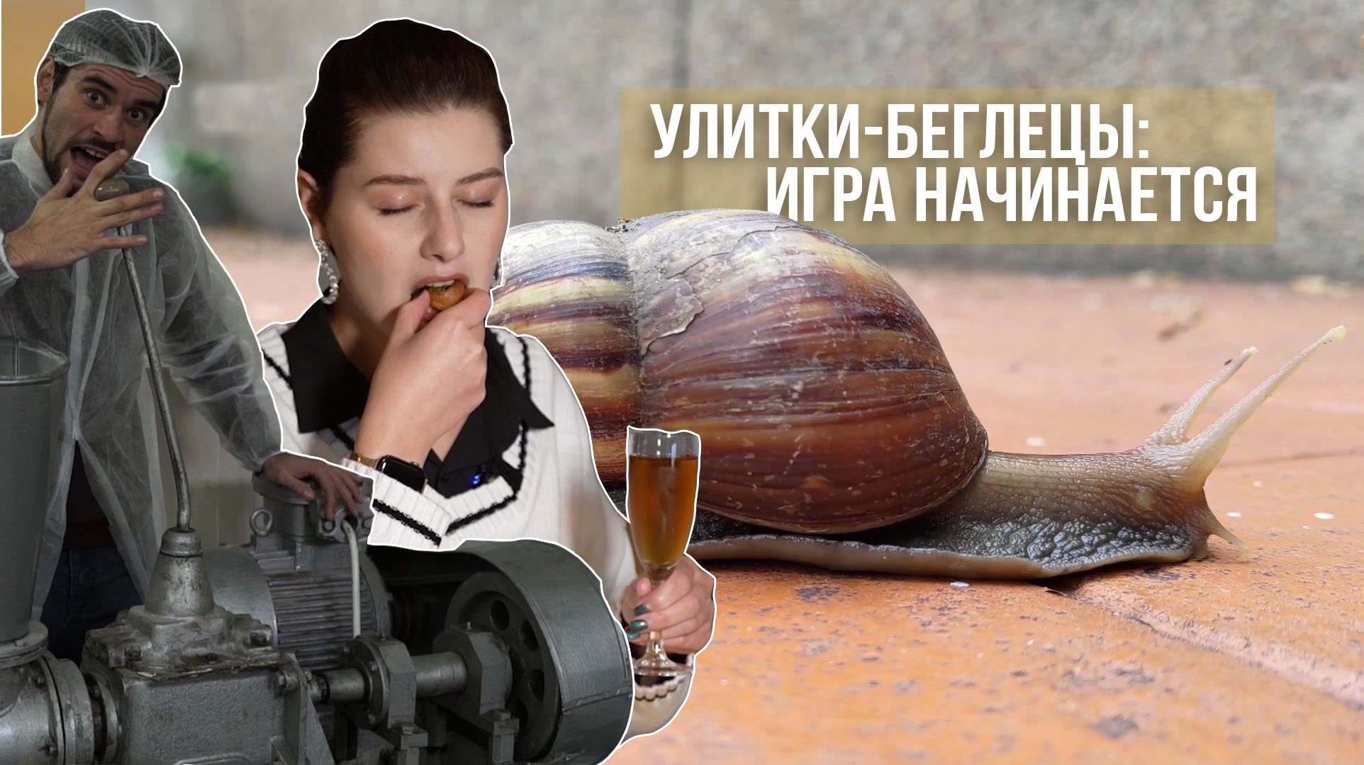 Агронорм: хмельная выпечка и полезная слизь