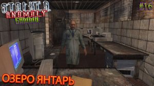 ОЗЕРО ЯНТАРЬ | STALKER ANOMALY GAMMA | Серия 16