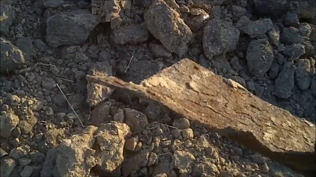 ИЩУ МЕТАЛЛ НА ПОЛЯХ смотреть онлайн