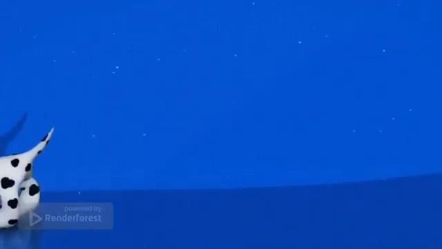 Рекламный ролик 2 YOHHA | Сервис нужных объявлений смотреть онлайн