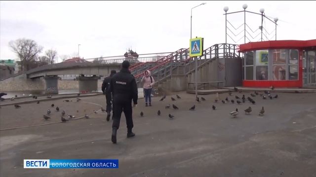 Как проходит режим самоизоляции в Вологде? смотреть онлайн