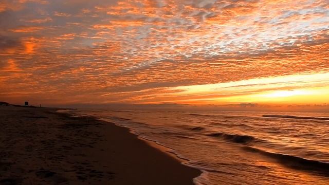 Y C 1 Relaxing Music, Come Enjoy Life with Nature, Mind Relax, Loving Music смотреть онлайн