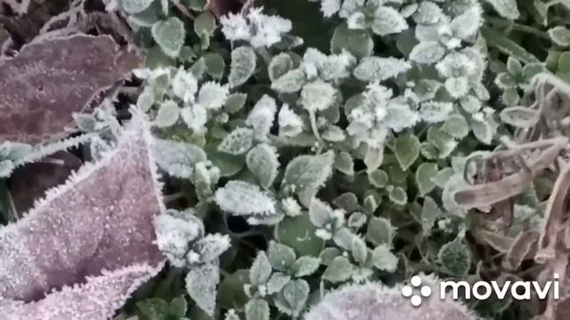 Кто рисует такую красоту?10января. смотреть онлайн