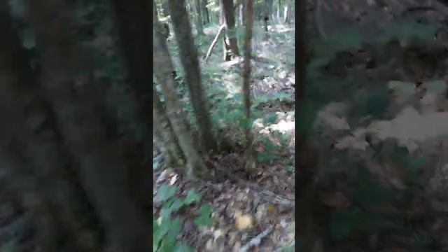 Цезари за Хадыженском 2018 смотреть онлайн