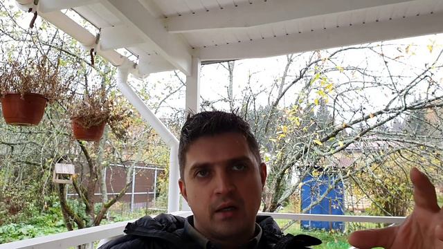 каким законом нас обязывают носить маски смотреть онлайн
