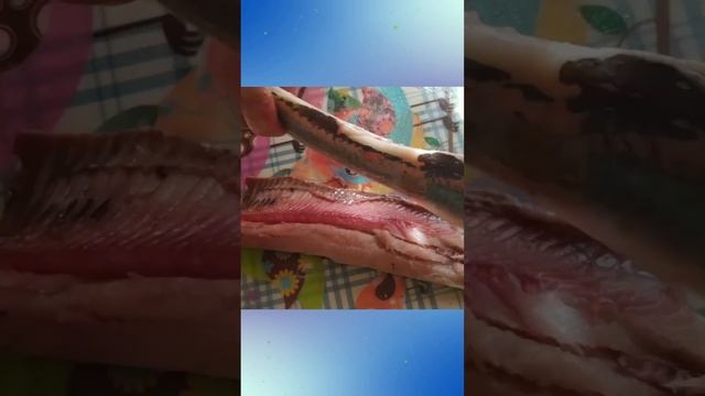 Творческий Путь к Успеху и Счастью