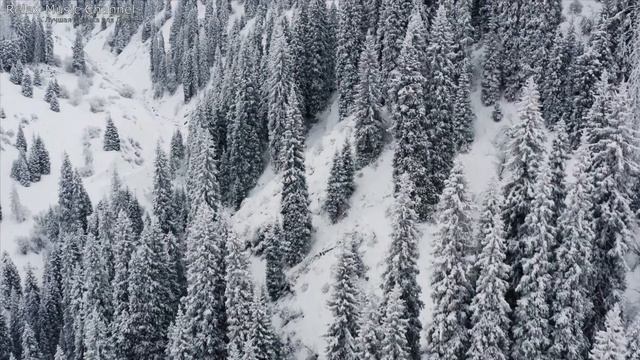 Зимний путь. Чарующая Мелодия. Лучшая музыка для Души. Прекрасный композитор Сергей Чекалин смотреть онлайн