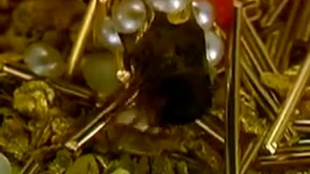 Caddis Case Jewelery смотреть онлайн