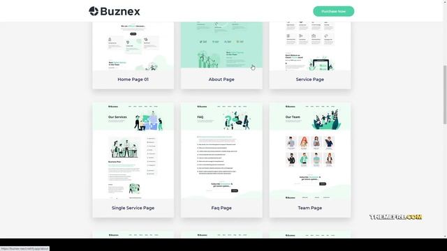 Buznex Business React JS Template business minimal смотреть онлайн