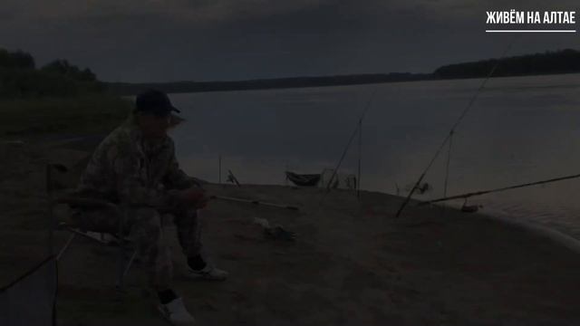 Рыбалка в не погоду на реке. Поймали Судака. Ночлег на острове и миллион комаров. смотреть онлайн