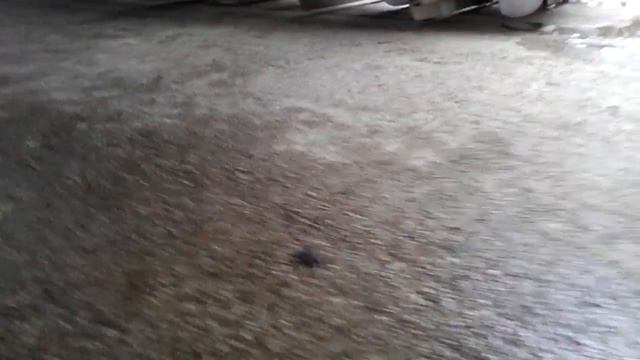 Снегоболотоход OHARA SM30 С ОТВАЛОМ