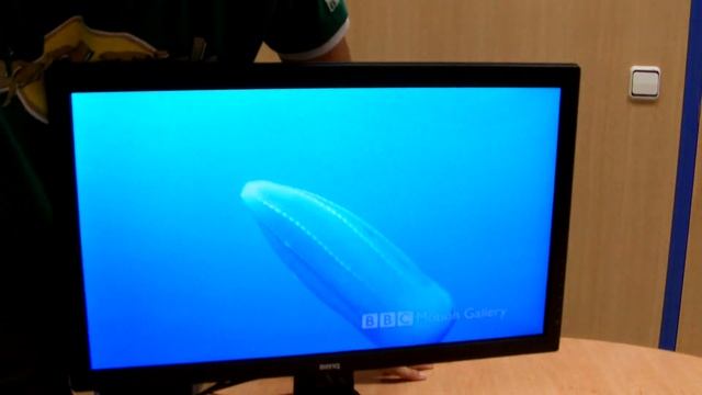 Review -- Monitor Benq RL2455HM LED 1920x1080 DVI HDMI FLICKER-FREE PCBox Gaming смотреть онлайн
