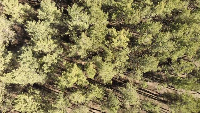 Самоизоляция в Малиновке на Suzuki DRZ 400sm смотреть онлайн