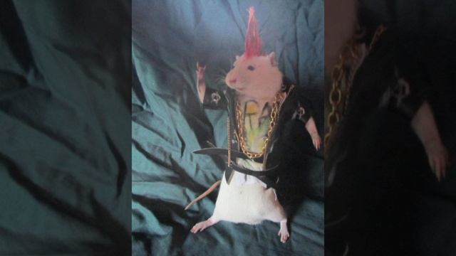 Rave Rock? смотреть онлайн