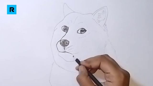How to draw Doge Sketch | Render ART смотреть онлайн