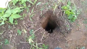 Как выкопать  яму под столб. Чтобы не выдавливало из земли. Часть  1.