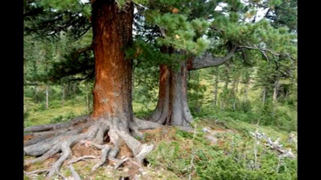 Я был отказчиком смотреть онлайн