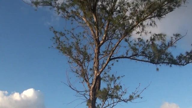 Остаться в живых - места съемки сериала LOST. смотреть онлайн