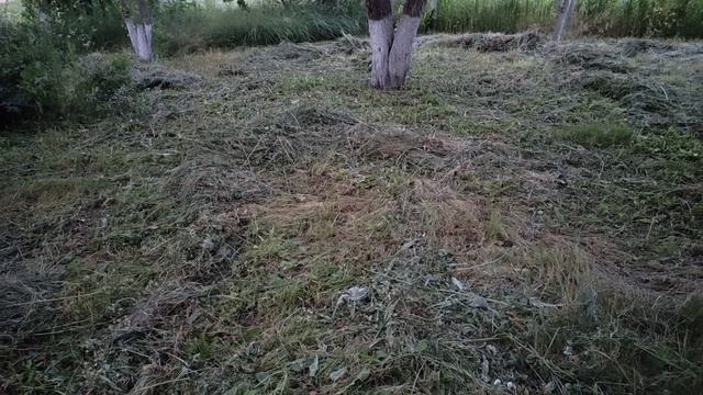 СтройНавигатор