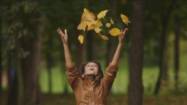 Беззеркальные камеры Sony