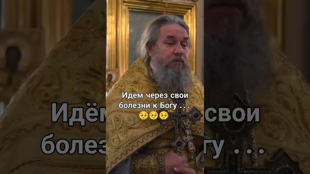Свои недостатки.... Протоиерей Сергий Кандыбин. смотреть онлайн