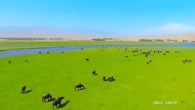 Afghanistan (افغانستان ) Афганистан смотреть онлайн