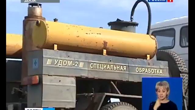 Африканскую чуму свиней обнаружили в еще одном районе Дона смотреть онлайн